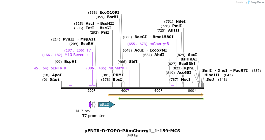 99398_map