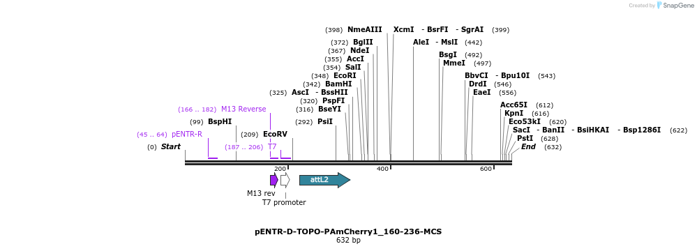 99399_map