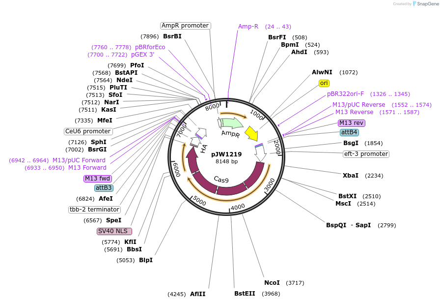 99400_map