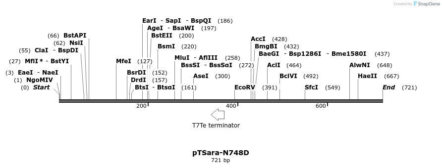 99406_map