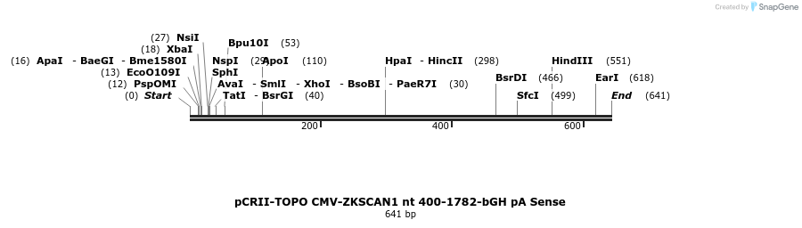99407_map