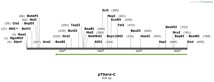 99408_map