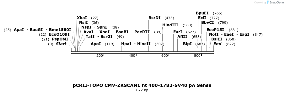 99409_map