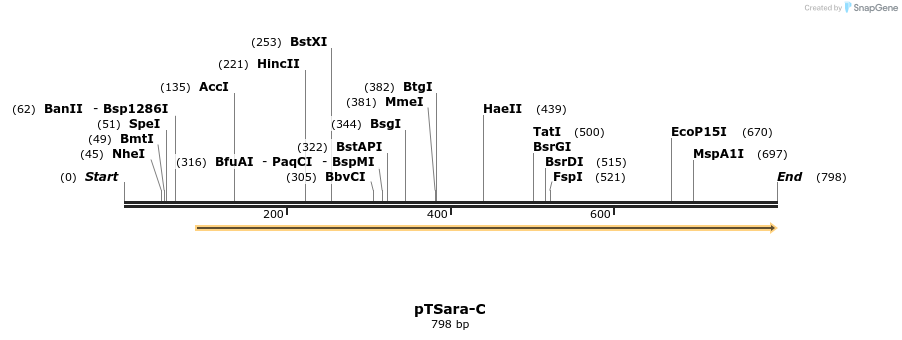 99410_map