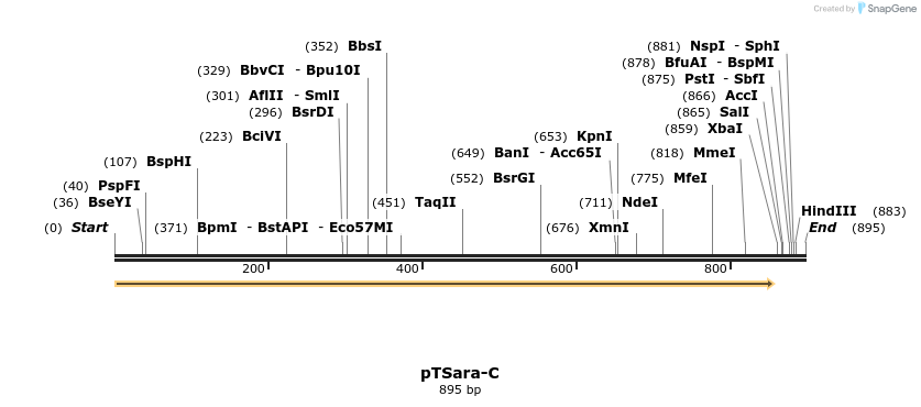 99411_map
