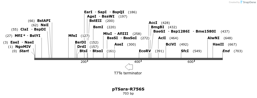 99414_map