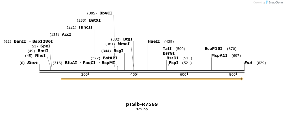 99415_map
