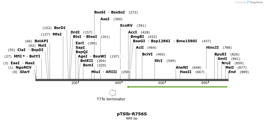 99417_map