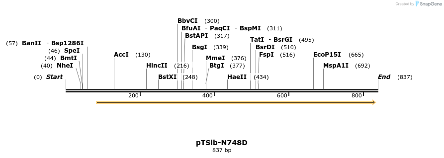 99419_map