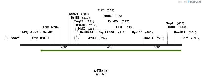 99422_map