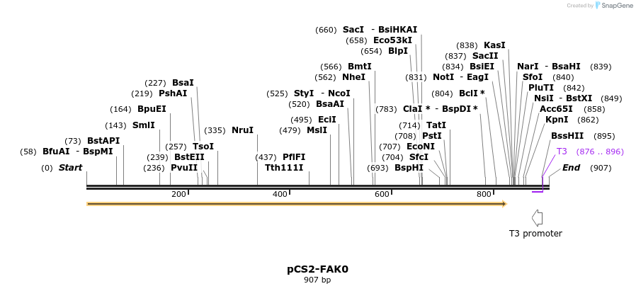 99440_map