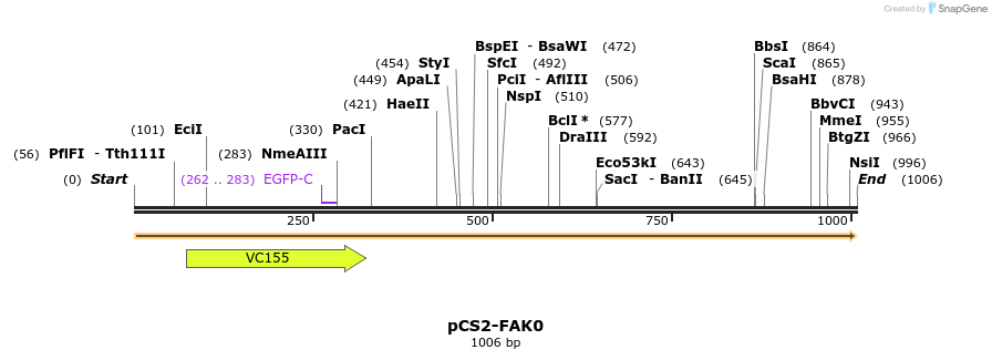 99441_map