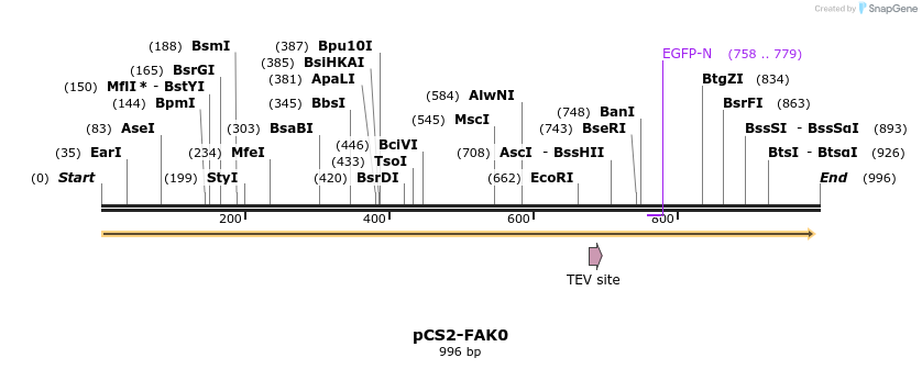 99444_map