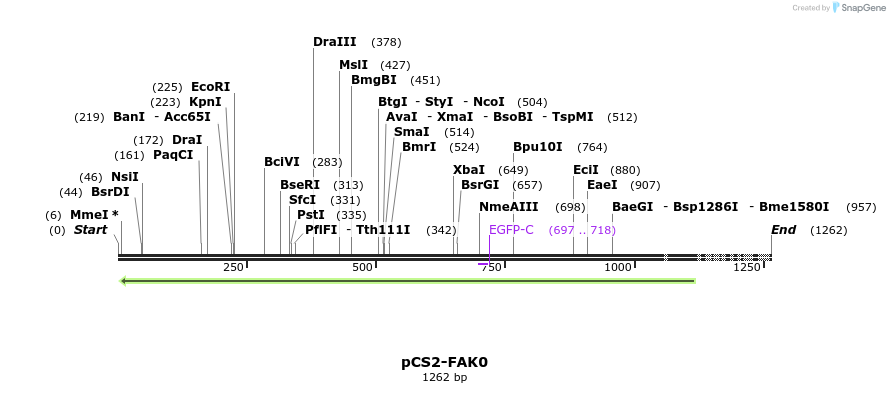 99445_map
