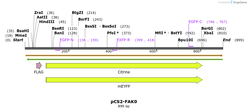 99447_map
