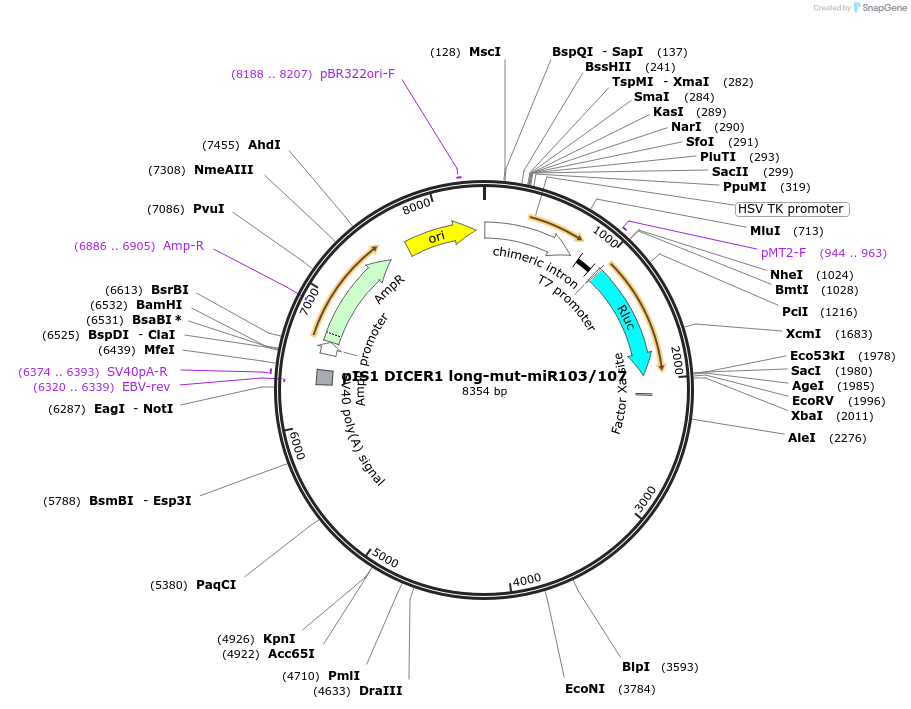 21652-plasmid-map-sequence-id-9945
