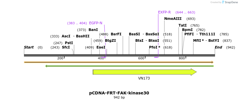 99451_map