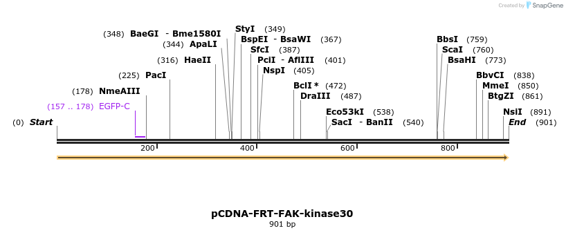 99452_map