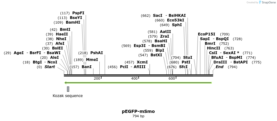 99472_map