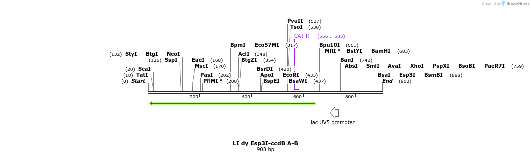 99480_map