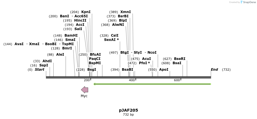 99488_map