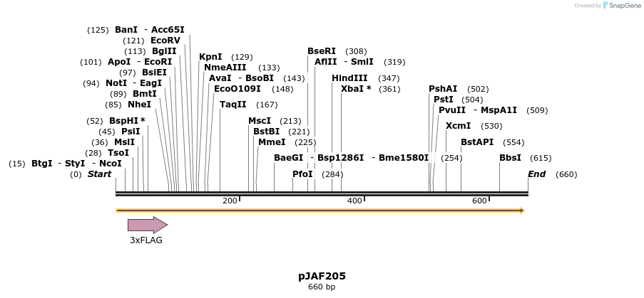 99490_map