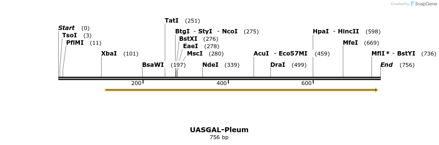 99493_map