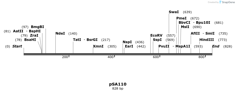99494_map
