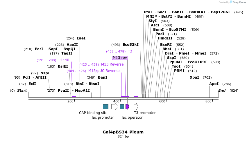 99496_map