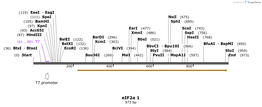 99497_map