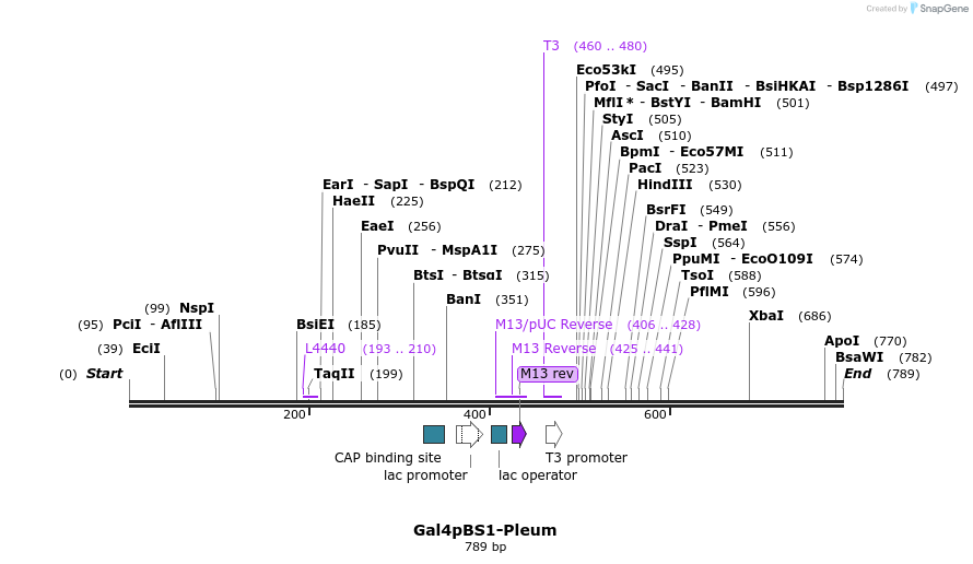 99502_map