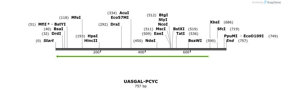 99503_map