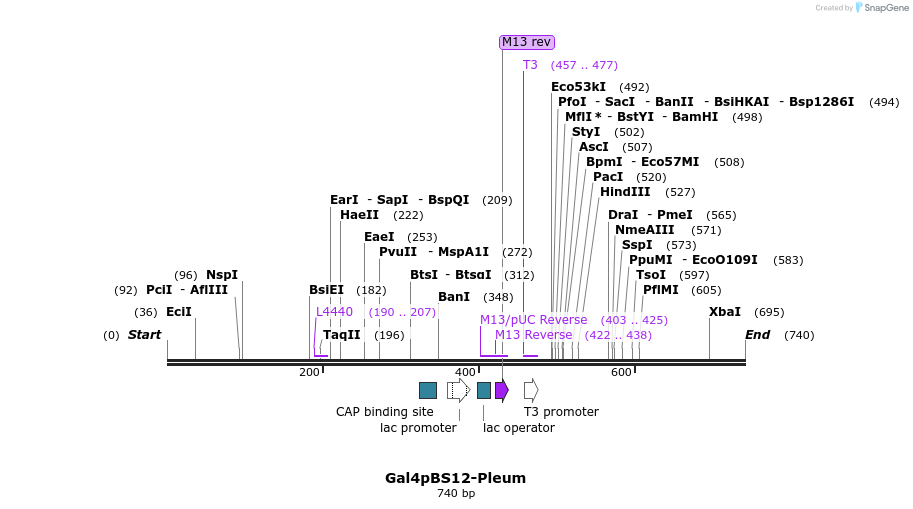 99504_map
