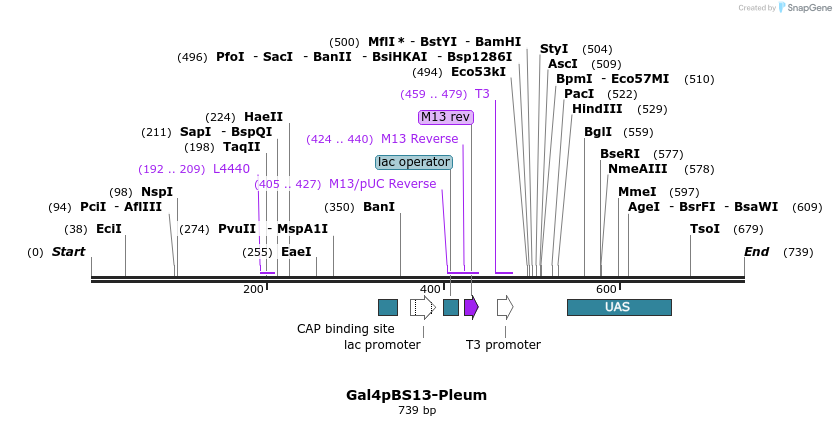 99506_map
