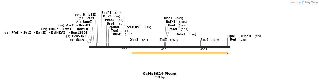 99508_map