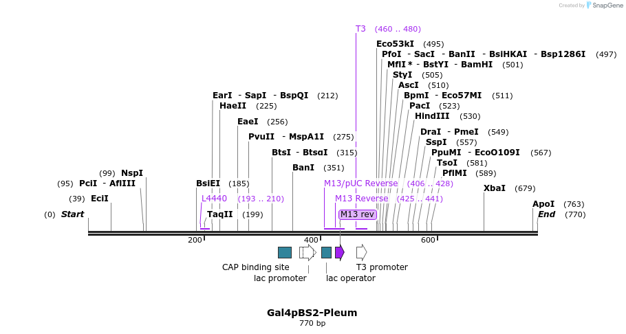 99509_map
