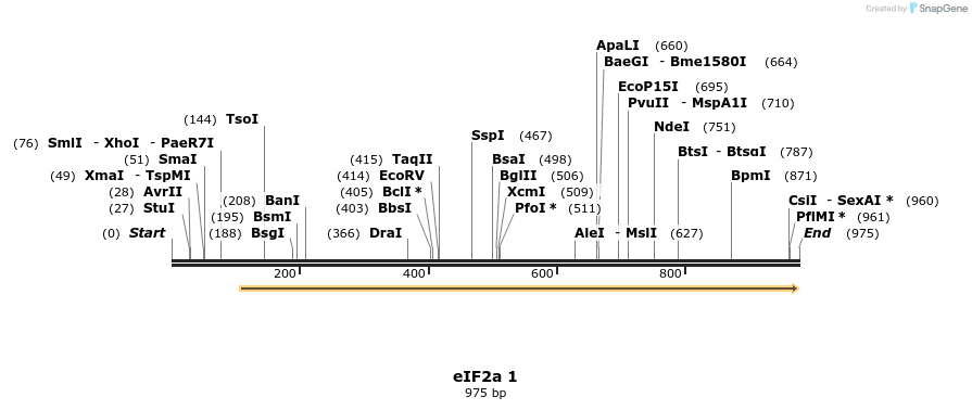 99510_map
