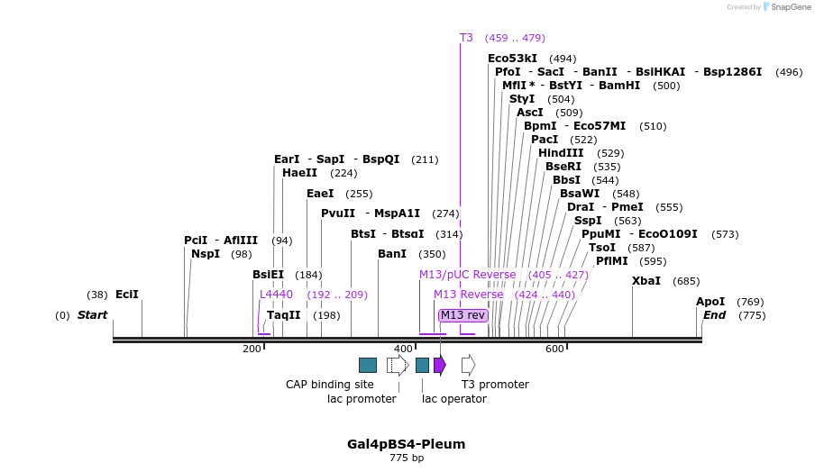 99511_map