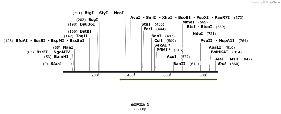 99513_map