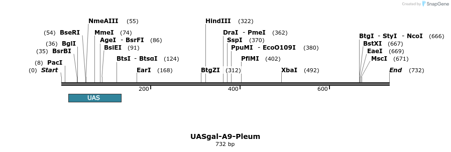 99514_map
