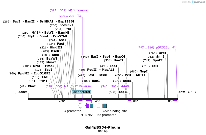 99520_map
