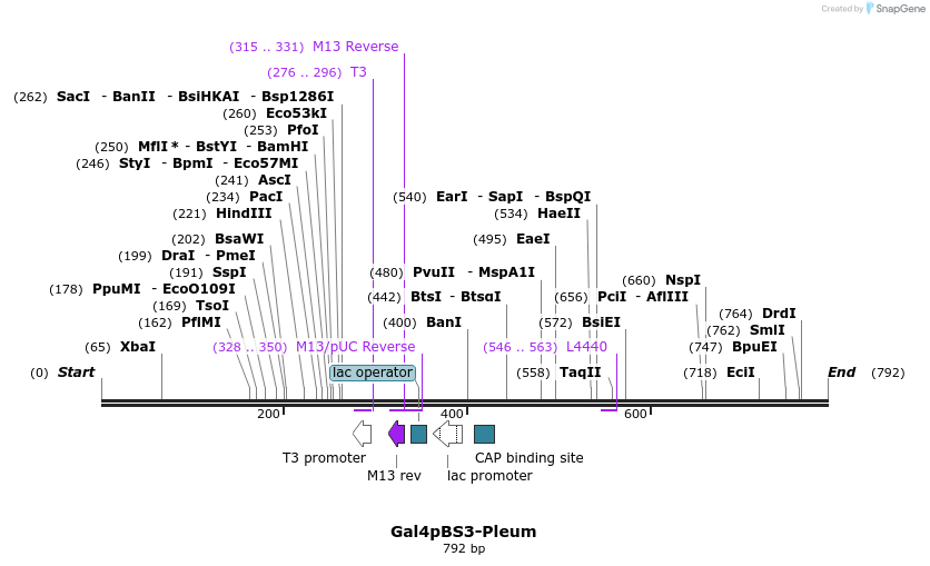 99521_map