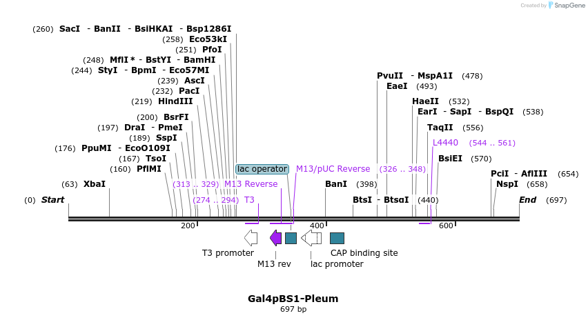 99523_map