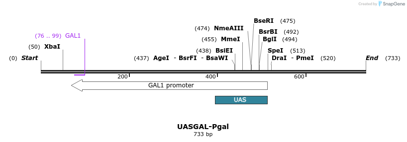 99527_map