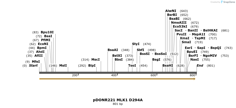 99529_map