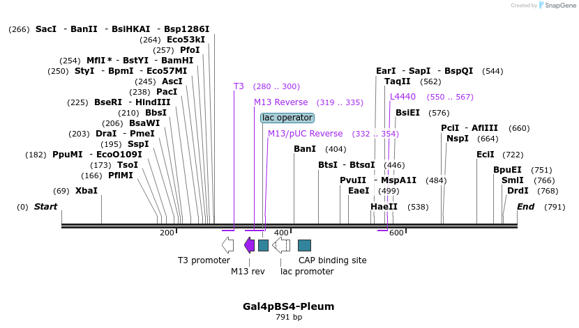 99531_map