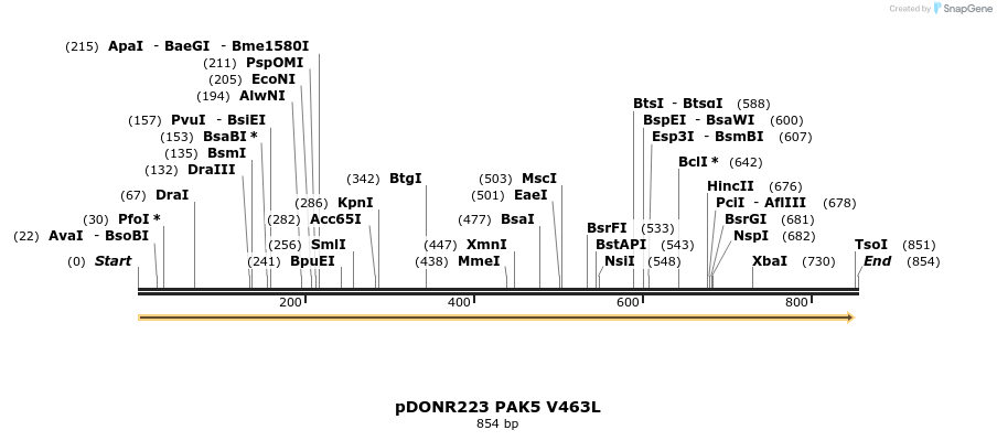 99532_map