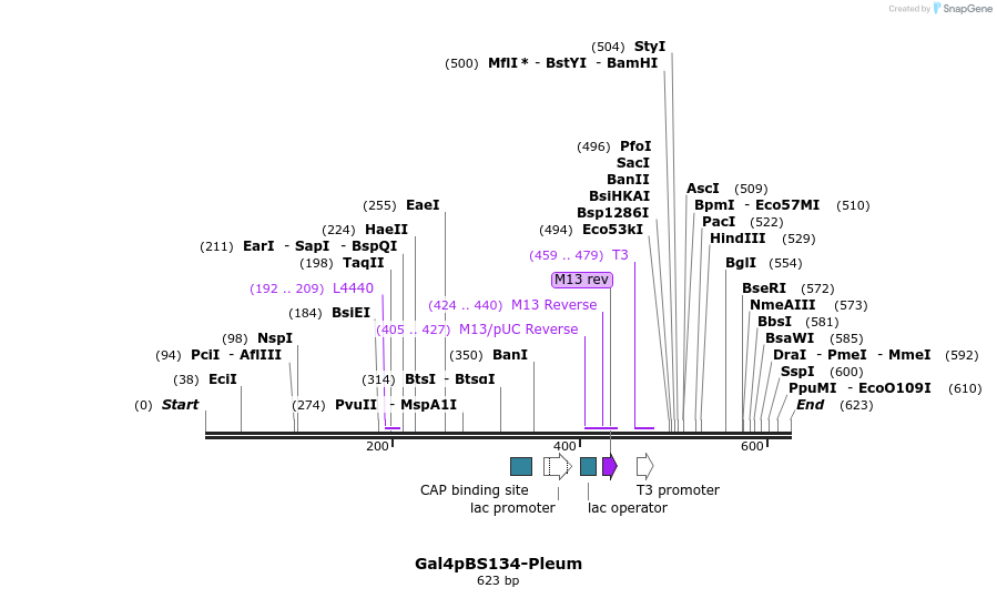 99537_map