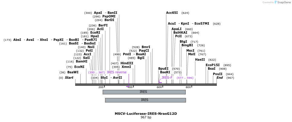 99544_map