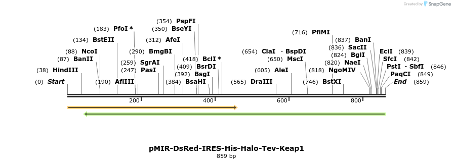 99548_map
